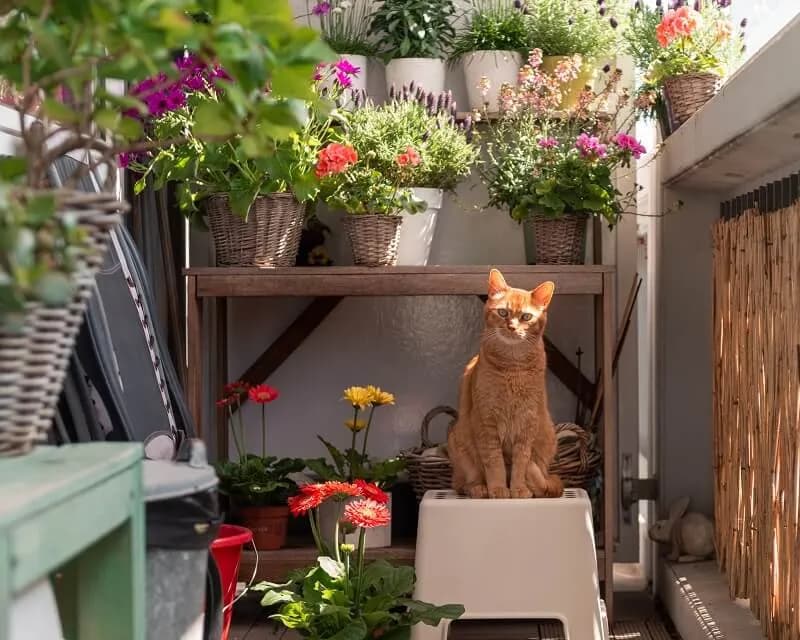 Jak urządzić mały balkon, aby stał się przytulnym azylem?